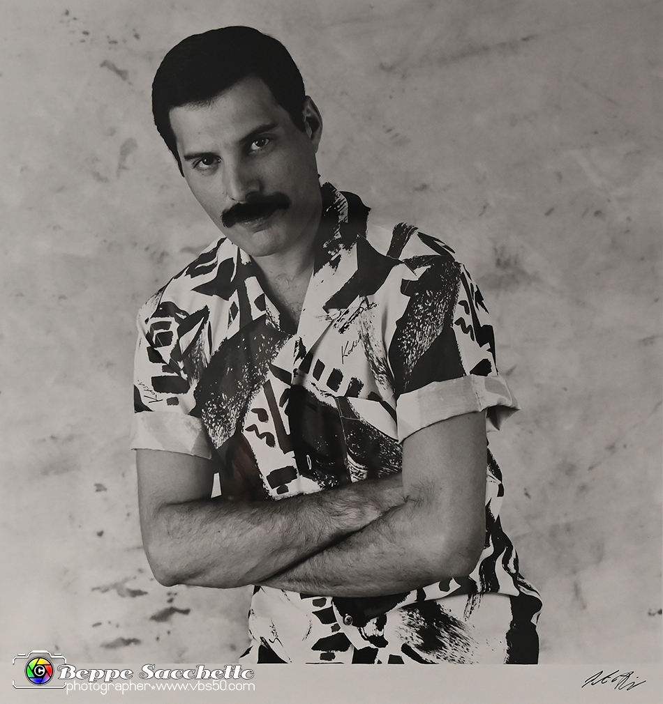 VBS_1780 - Mostra Peter Hince - Queen Experience.jpg
